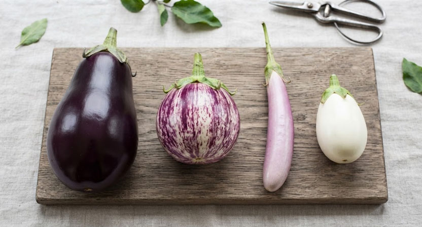 Eine Auswahl verschiedener Auberginensorten (z. B. Black Beauty, Rosa Bianca, Weiße Aubergine) gemeinsam geerntet und präsentiert, die ihre unterschiedlichen Formen, Farben und Größen eindrucksvoll zeigen.
