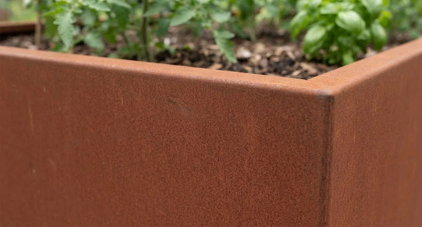 Nahaufnahme der rotbraunen, gleichmäßig ausgebildeten Patina auf der Oberfläche eines Cortenstahl-Hochbeets