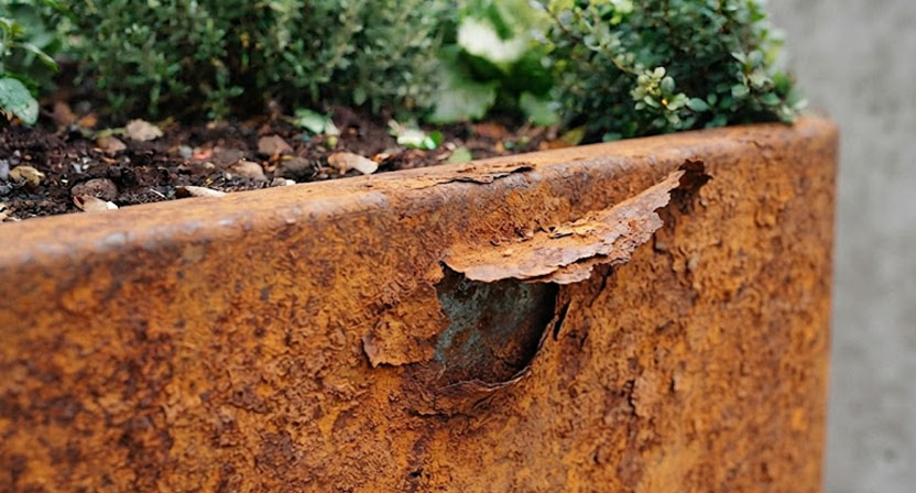 Nahaufnahme einer Baustahl-Hochbeetwand: grobe, abblätternde orangebraune Rostschicht mit einer abgehobenen Schuppe und einer kleinen Vertiefung darunter